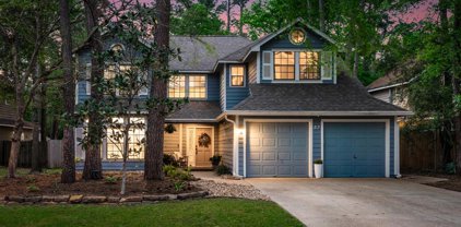 27 Otter Pond Place, The Woodlands