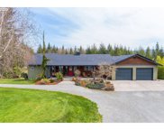 35104 NE 238TH PL, Yacolt image