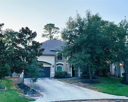 7 S Swanwick Place, Tomball