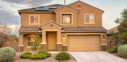 9750 N Texas Ebony, Marana