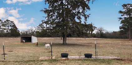 1224 N FM 2869, Winnsboro