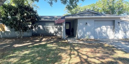 17821 Morninghigh Drive, Lutz