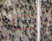 Sw 138 Terrace, Dunnellon image