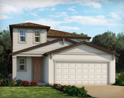 1462 Sea Glass Road, Haines City