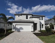 12126 Bald Cypress Cove, Parrish image