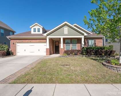 1320 Cilantro  Court, Tega Cay