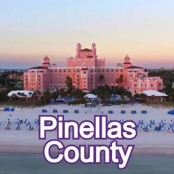 Pinellas County Florida Homes for Sale