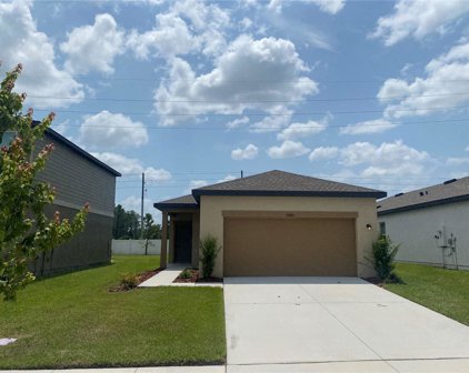 34925 Daisy Meadow Loop, Zephyrhills