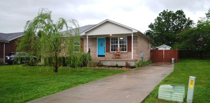 131 Frederick Ct, Mt Washington