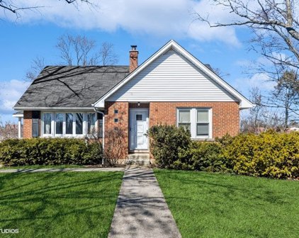 1542 Herbert Street, Downers Grove
