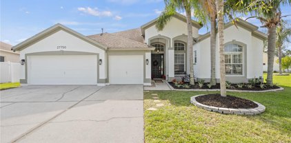 27750 Grove Point Court, Wesley Chapel