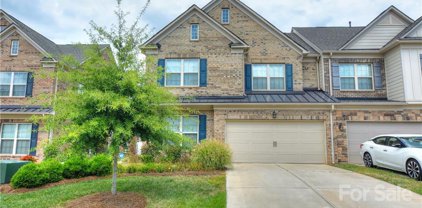 3086 Hartson Pointe  Drive, Indian Land