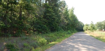 TBD E 5 ACRES CRABAPPLE RD, Gilmer