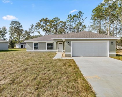 238 Locust Pass Lane, Ocala