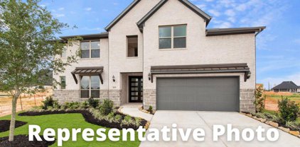 511 Carina Gaze Drive, Willis