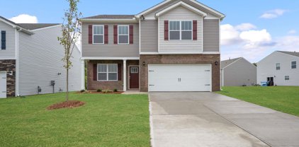 102 Hendry, Fountain Inn