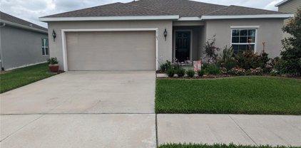 10183 Hawks Landing Drive, Land O' Lakes