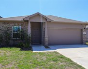 507 Almond Willow Lane, Crosby image