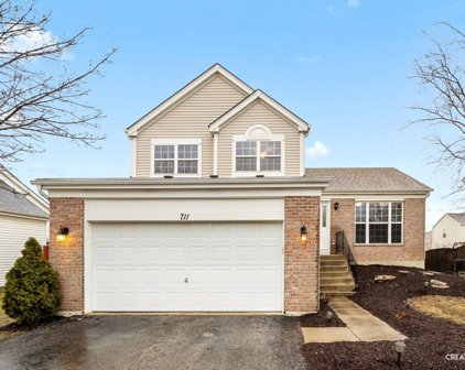 711 Rebecca Lane, Bolingbrook