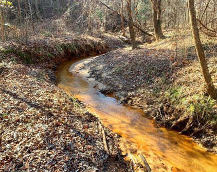 Old Calhoun Falls Rd, Abbeville