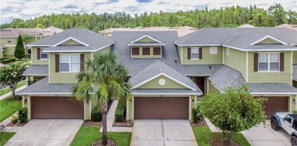 8542 Sandpiper Ridge Avenue, Tampa