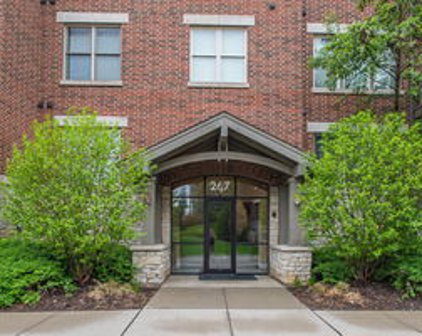 267 E Railroad Avenue Unit #102, Bartlett