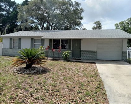3118 Palm Court, Dunedin
