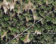 7573 W Emberwood Place, Dunnellon image