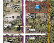 41370 Aspen Street, Eustis image