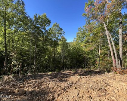 Caney Creek Lot 5, Pigeon Forge