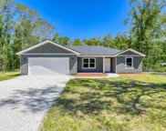10110 Oliver Avenue, Hastings image