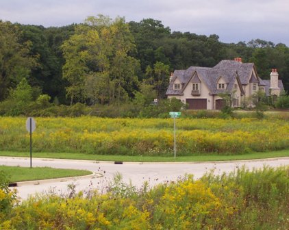 37W205 Deer Pond Court, St. Charles