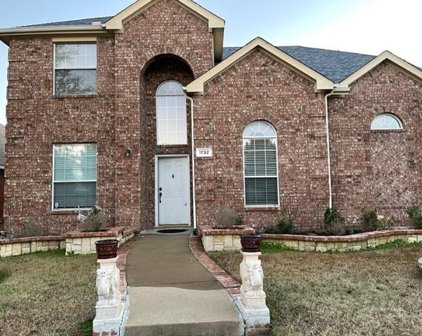 1732 Mineral Springs  Drive, Allen