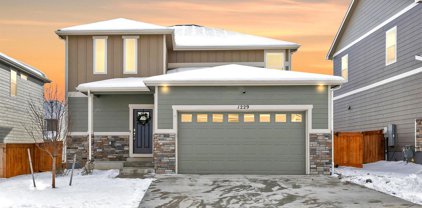 1229 Lily Mountain Road, Severance