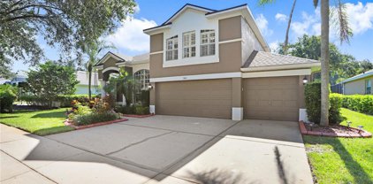 3614 Cordgrass Drive, Valrico