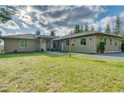 36101 NE ELLIOTT RD, Yacolt image