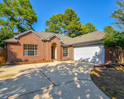 22326 Hollybranch Drive, Tomball