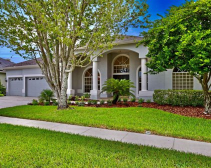 1442 Highwood Place, Wesley Chapel