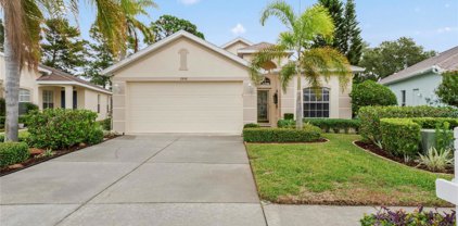 2848 Plantain Drive, Holiday
