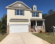 1641 Birch Grain Road, Chapin image