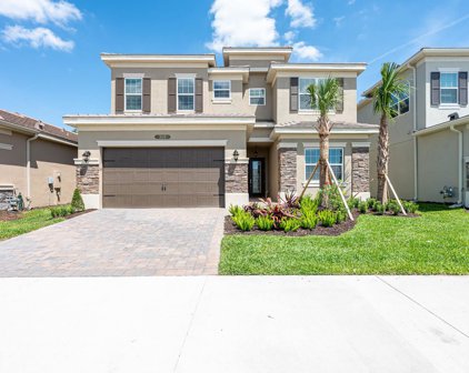 3113 Great Banyan Way, Wesley Chapel