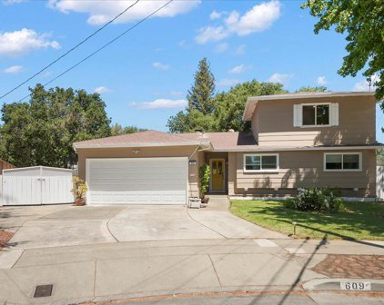 609 Louise Court, Campbell