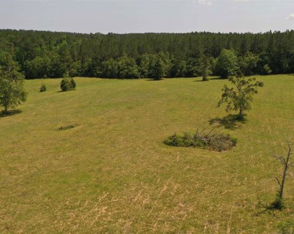 Lot 1 River Annex Rd, Cantonment