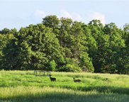 1159 NE 90th Road, Jerico Springs image