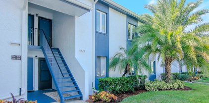 208 Cypress Lane, Oldsmar