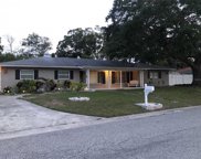 895 Manor Drive S, Dunedin image