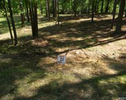 Lots 22-23 County Road 243, Cedar Bluff image