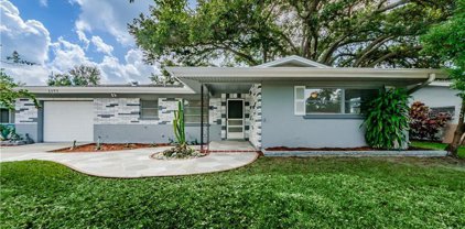 1349 N Lotus Drive, Dunedin