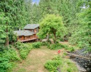 404 W Griffin Creek Road NE, Carnation image