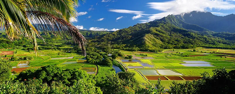 Kauai Land Real Estate